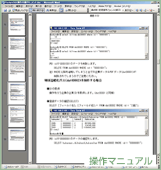 ���ޥ˥奢�� ���᡼��